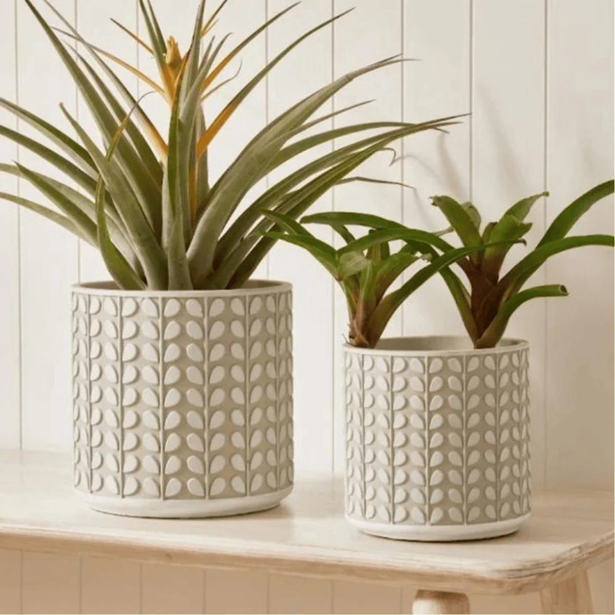 CACHEPOT EM CIMENTO ALTO RELEVO – 19X19CM